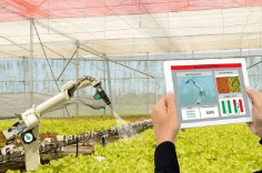 物联网开发生成式人工智能在农业中的作用