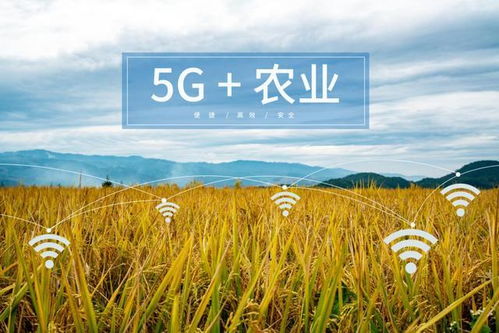 物联网开发5G农业作业
