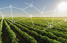 物联网开发云计算对农业技术的影响