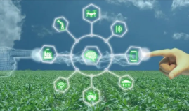 物联网开发可持续农业可靠地连接